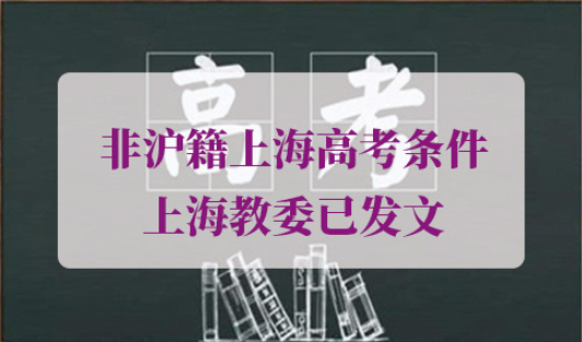 2023年外地孩子上海上学政策