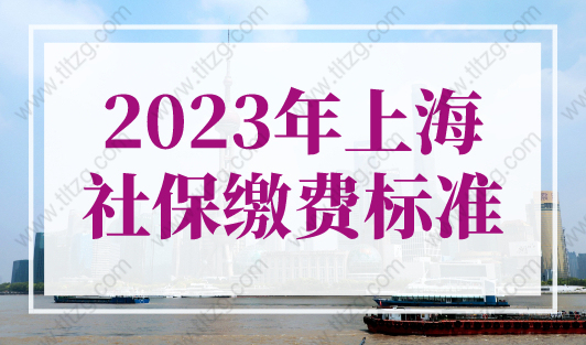 2023年上海社保缴费标准！(2023年个人社保缴费标准表)