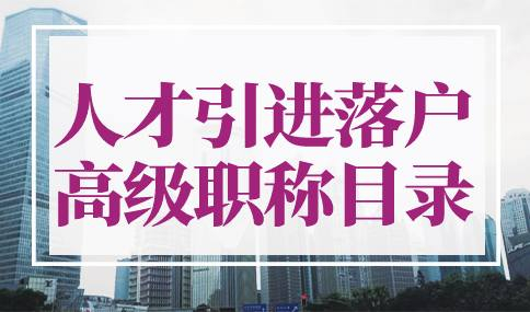 2023年人才引进落户高级职称目录