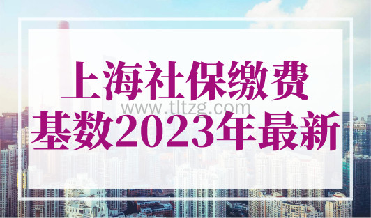 上海社保缴费基数2023年最新，2023年上海最低社保交多少钱？
