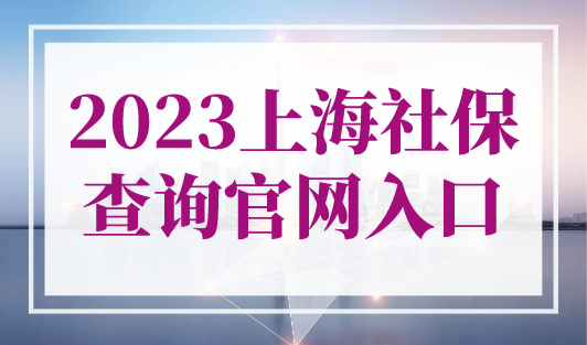 2023年上海社保查询官网入口， 上海社保缴费明细查询流程！
