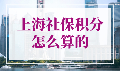 上海社保积分怎么算的？上海120积分最快的方法！
