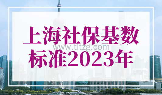 上海社保基数标准2023年！上海社保查询入口！
