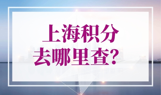 上海积分去哪里查？上海个人积分查询官网（入口）