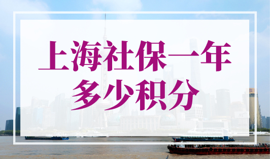 上海社保一年多少积分？上海积分120分细则打分表来了！