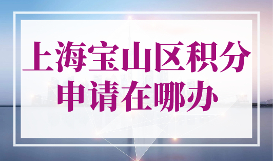 上海宝山区积分申请在哪办？最新积分查询入口