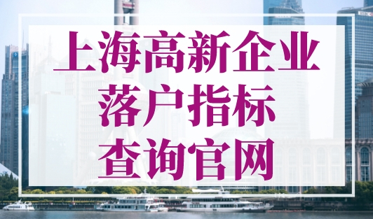 上海高新企业落户指标查询官网，落户名额查询入口