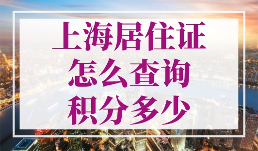 上海居住证怎么查询积分多少？上海个人积分查询官网