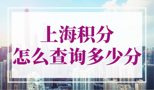 上海积分怎么查询多少分？上海个人积分查询官网