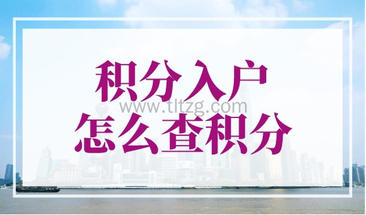 积分入户怎么查积分