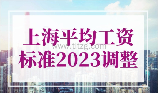 上海平均工资标准2023调整，企业办理线上操作指南
