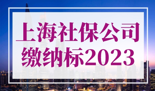 上海社保公司缴纳标准2023，缴费明细一览！