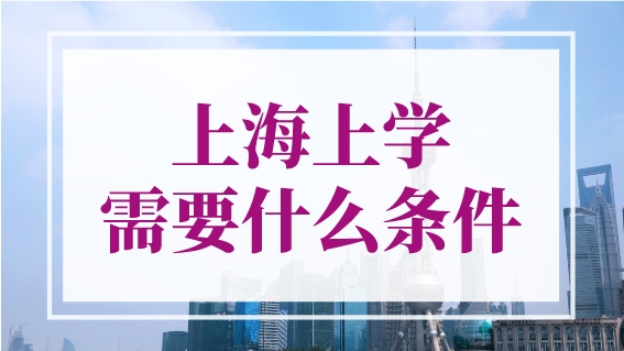 上海上学需要什么条件（上海入园+幼升小+小升初）