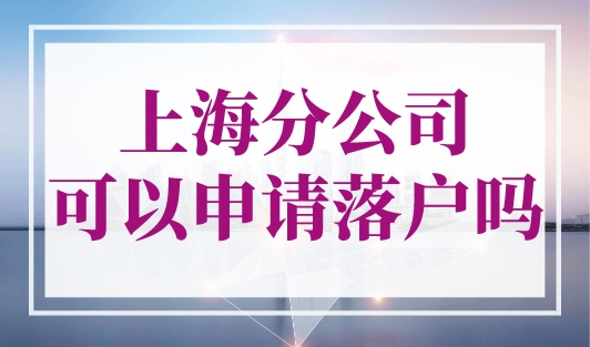 上海分公司可以申请落户吗？落户上海公司要求细则