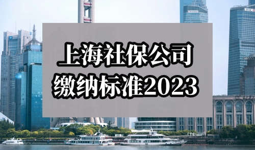 上海社保公司缴纳标准2023，不清楚这些将直接影响你落户！
