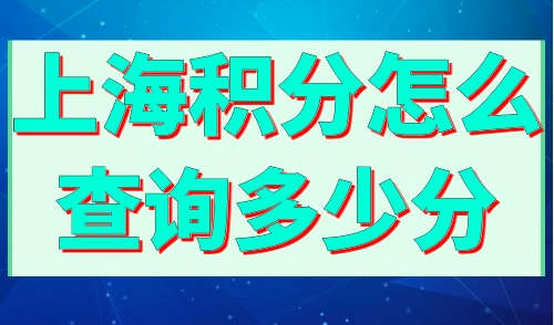 上海积分怎么查询多少分