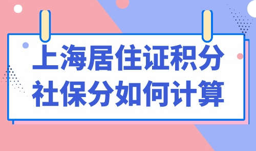 上海居住证积分社保分如何计算