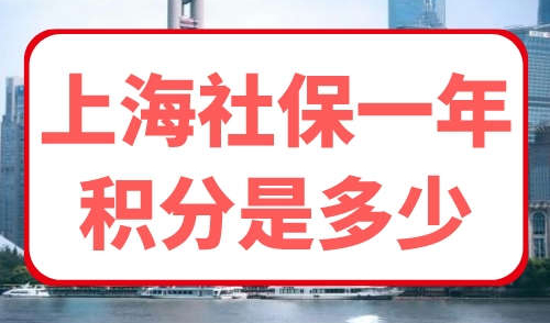 上海社保一年积分是多少