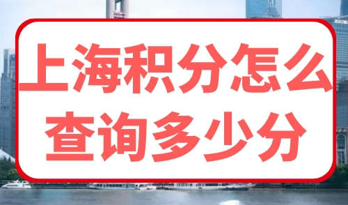 上海积分怎么查询多少分