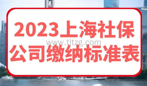 2023上海社保公司缴纳标准表