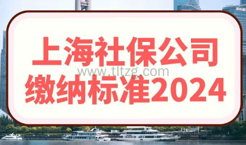 上海社保公司缴纳标准2024