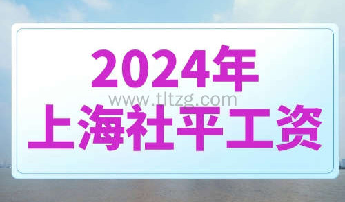 2024年上海社平工资