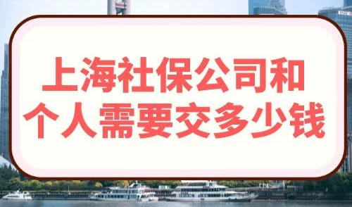 上海社保公司和个人需要交多少钱