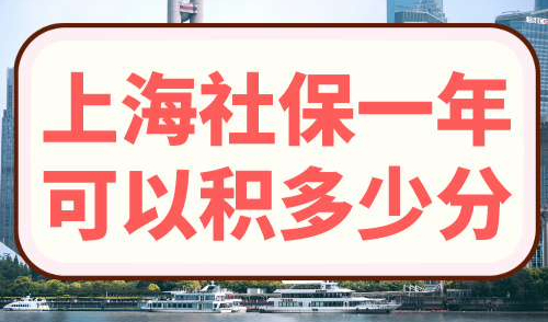 上海社保一年可以积多少分