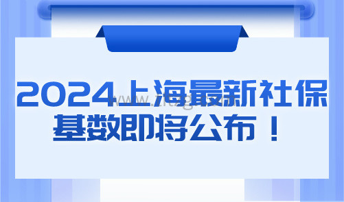2024上海最新社保基数即将公布！居转户落户难度再次升级！