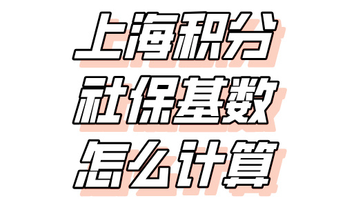 上海积分社保基数怎么计算？2024九月最新计算查询方式来了！