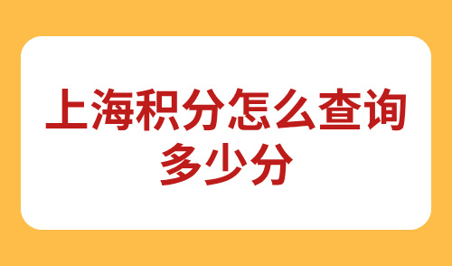 上海积分怎么查询多少分，9月最新查分通道！3步精准查分！