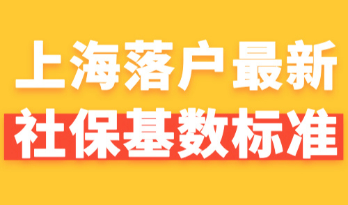 2024上海落户最新社保基数标准！附查询流程及调整方式！