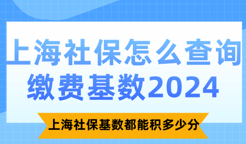 2024上海社保怎么查询缴费基数？上海社保基数都能积多少分？