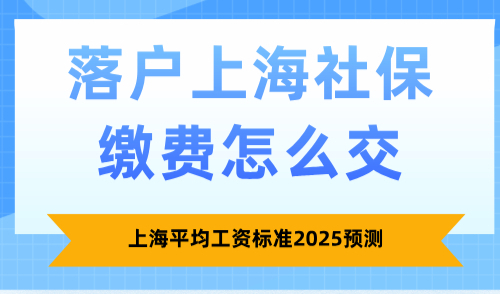 2025落户上海社保缴费怎么交？上海平均工资标准2025预测