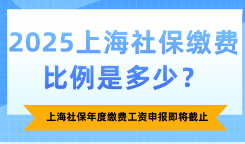 2025上海社保年度缴费工资申报即将截止！上海社保缴费比例是多少？