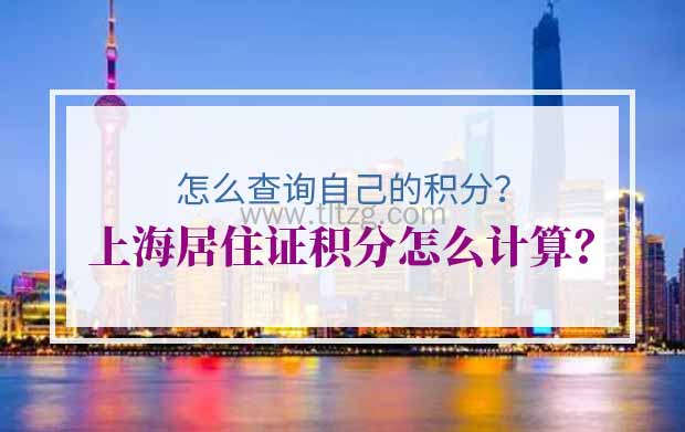 上海居住证积分怎么计算？怎么查询自己的积分？