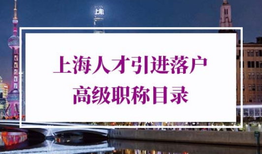 上海人才引进落户高级职称目录