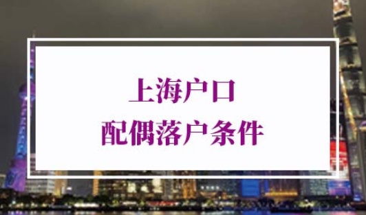 2022年上海户口配偶落户条件