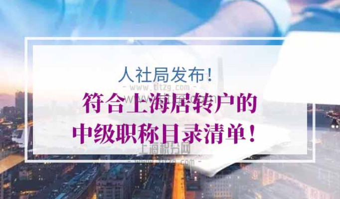 上海居转户中级职称目录清单