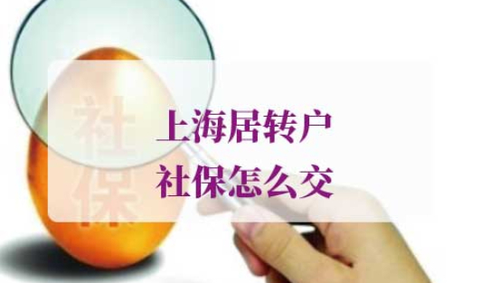 上海居转户社保怎么交