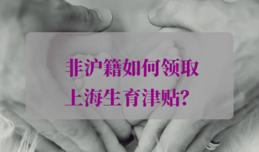 非沪籍上海生育津贴申办条件