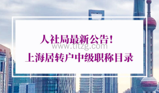 2021年上海居转户中级职称目录