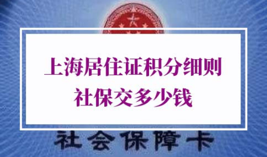 2021年上海居住证积分细则社保