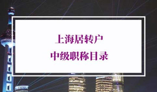 2022年上海居转户中级职称目录
