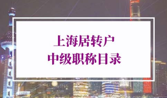 2022年上海居转户中级职称目录