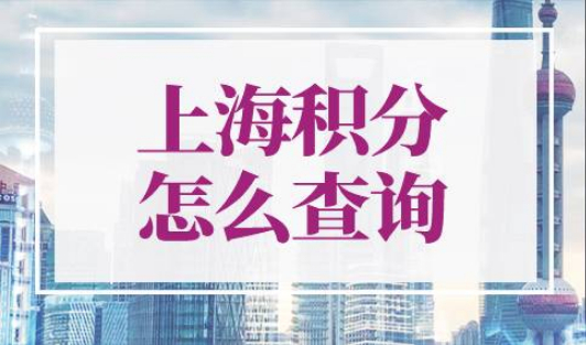 上海积分怎么查询多少分