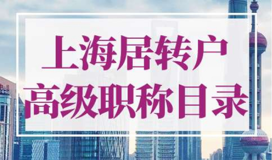 上海居转户高级职称目录