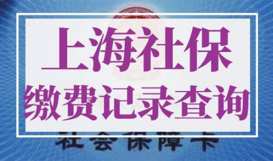 上海社保缴费记录查询