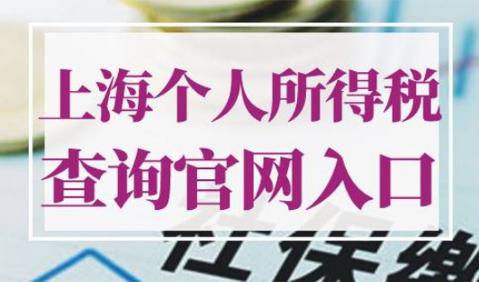 上海个人所得税查询官网入口
