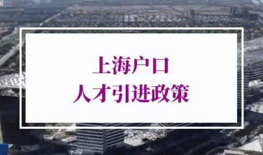 上海户口人才引进政策
